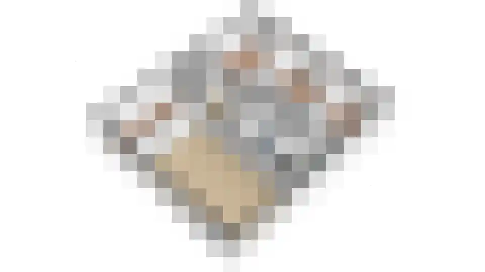 De Scheerman 5 Moergestel thumbnail 47