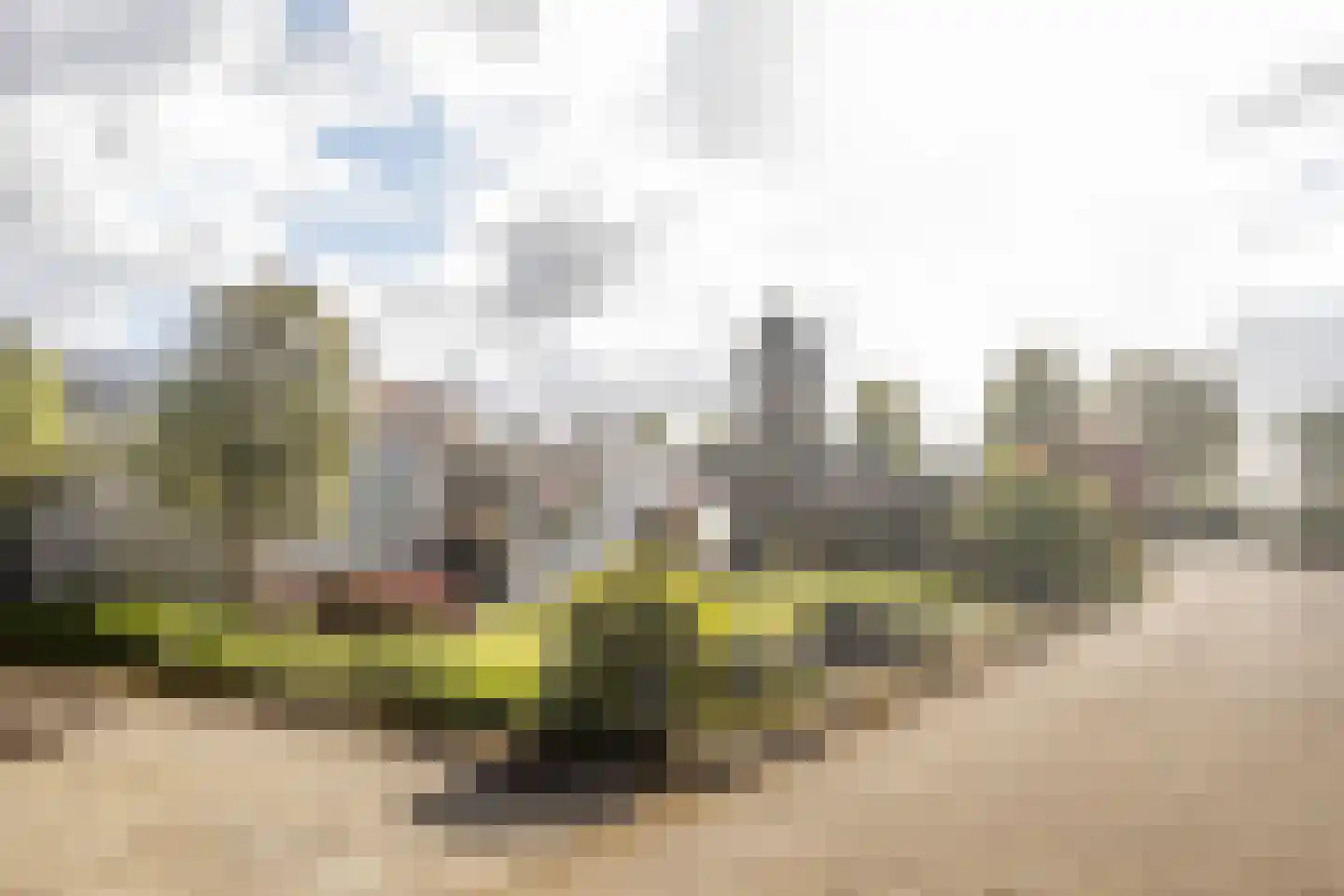 De Scheerman 5 Moergestel thumbnail 6