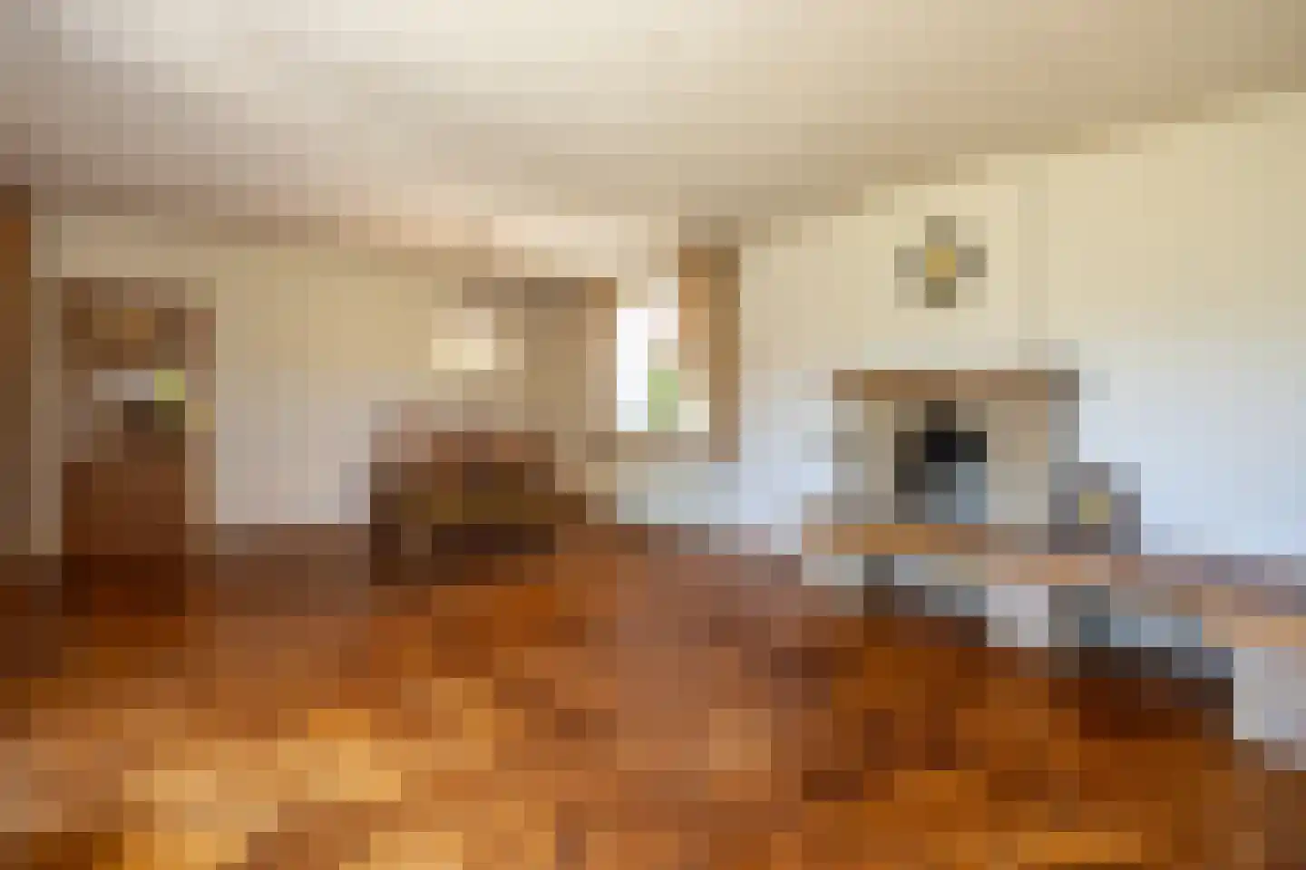 De Scheerman 7 Moergestel thumbnail 11