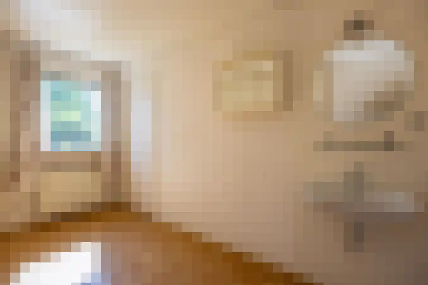 De Scheerman 7 Moergestel thumbnail 15