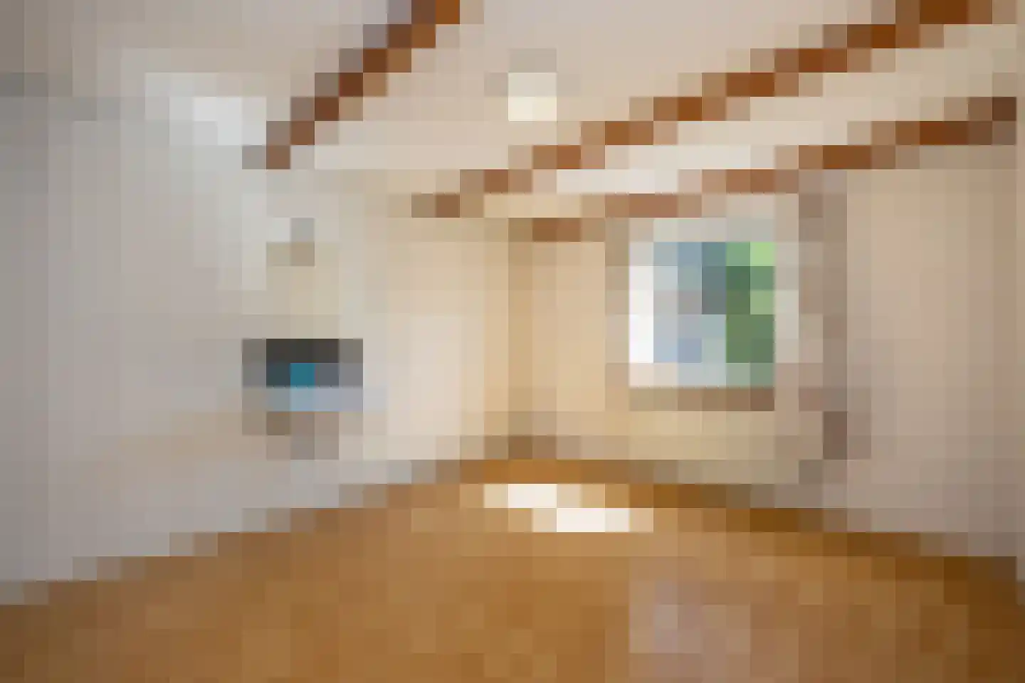 De Scheerman 7 Moergestel thumbnail 16