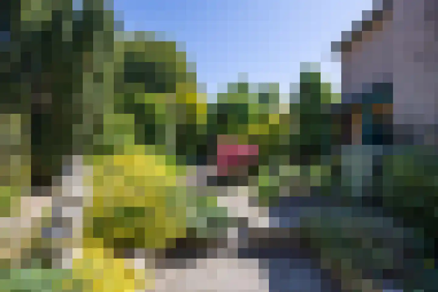 De Scheerman 7 Moergestel thumbnail 19