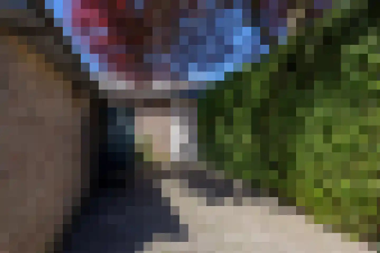 De Scheerman 7 Moergestel thumbnail 20