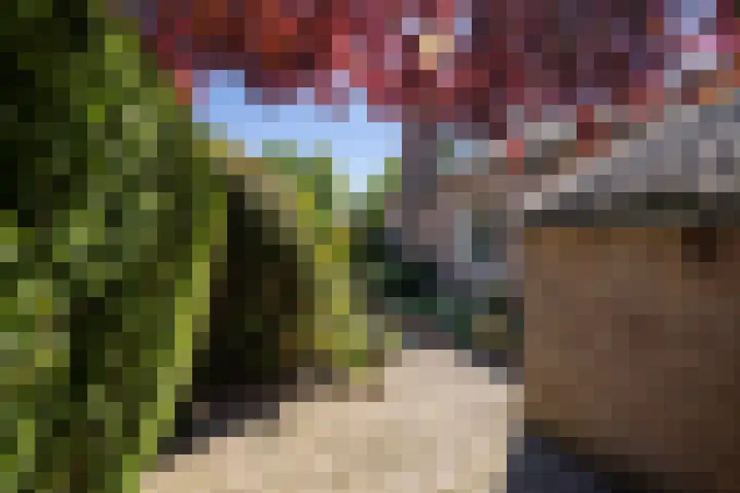 De Scheerman 7 Moergestel thumbnail 22