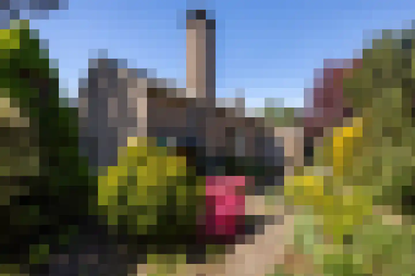 De Scheerman 7 Moergestel thumbnail 23
