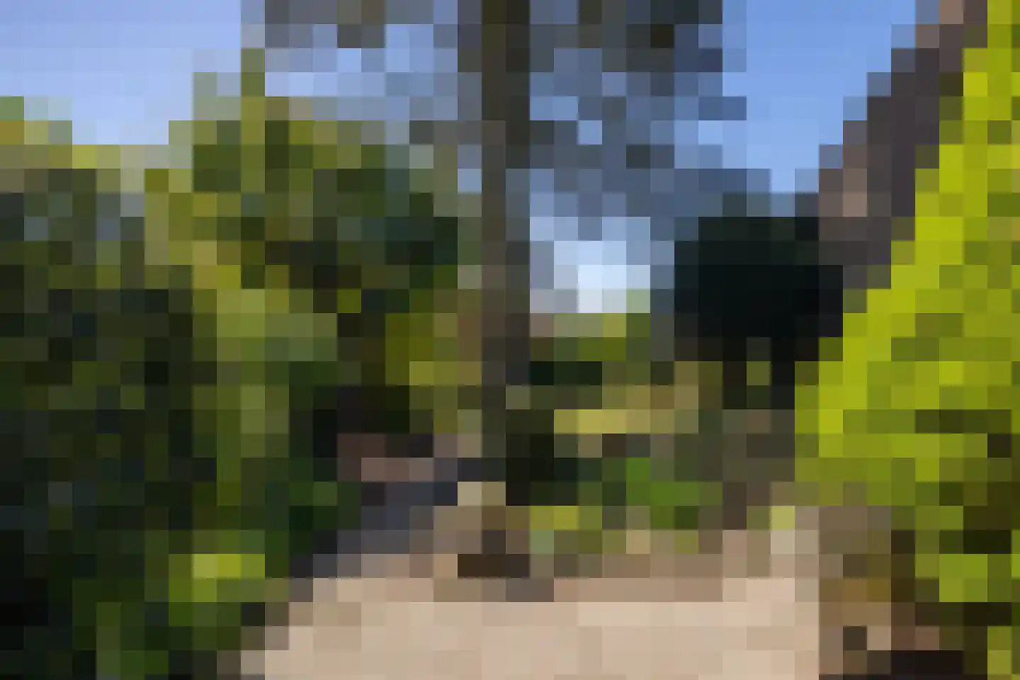 De Scheerman 7 Moergestel thumbnail 24
