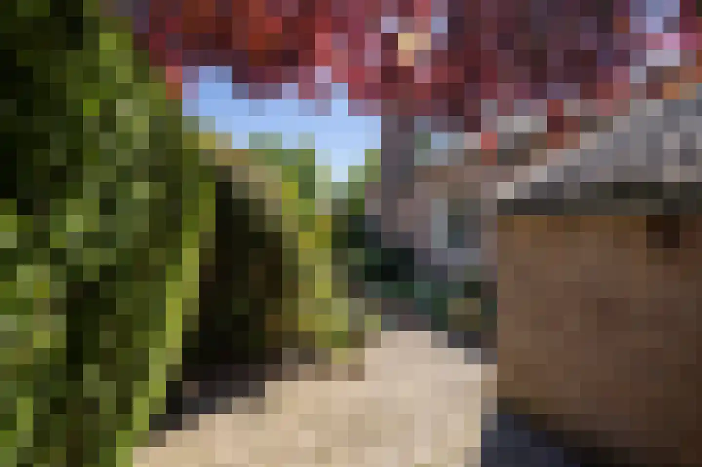 De Scheerman 7 Moergestel thumbnail 24