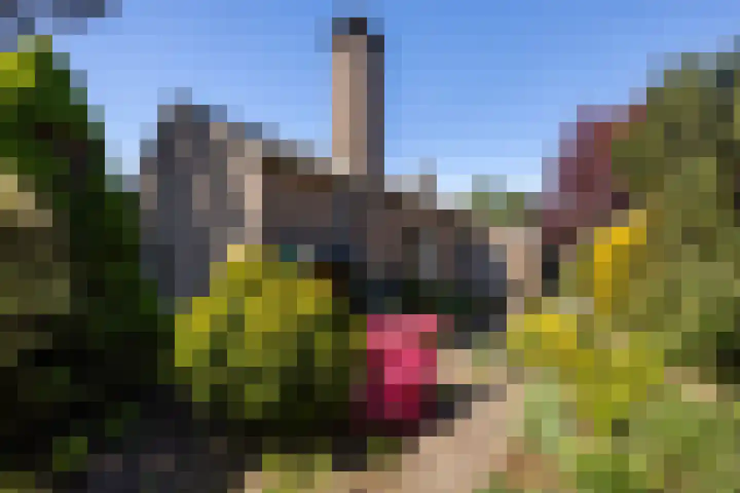 De Scheerman 7 Moergestel thumbnail 25