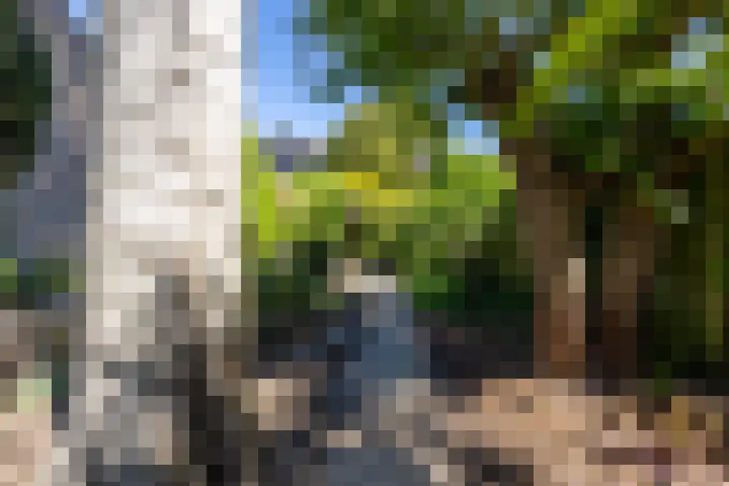 De Scheerman 7 Moergestel thumbnail 25