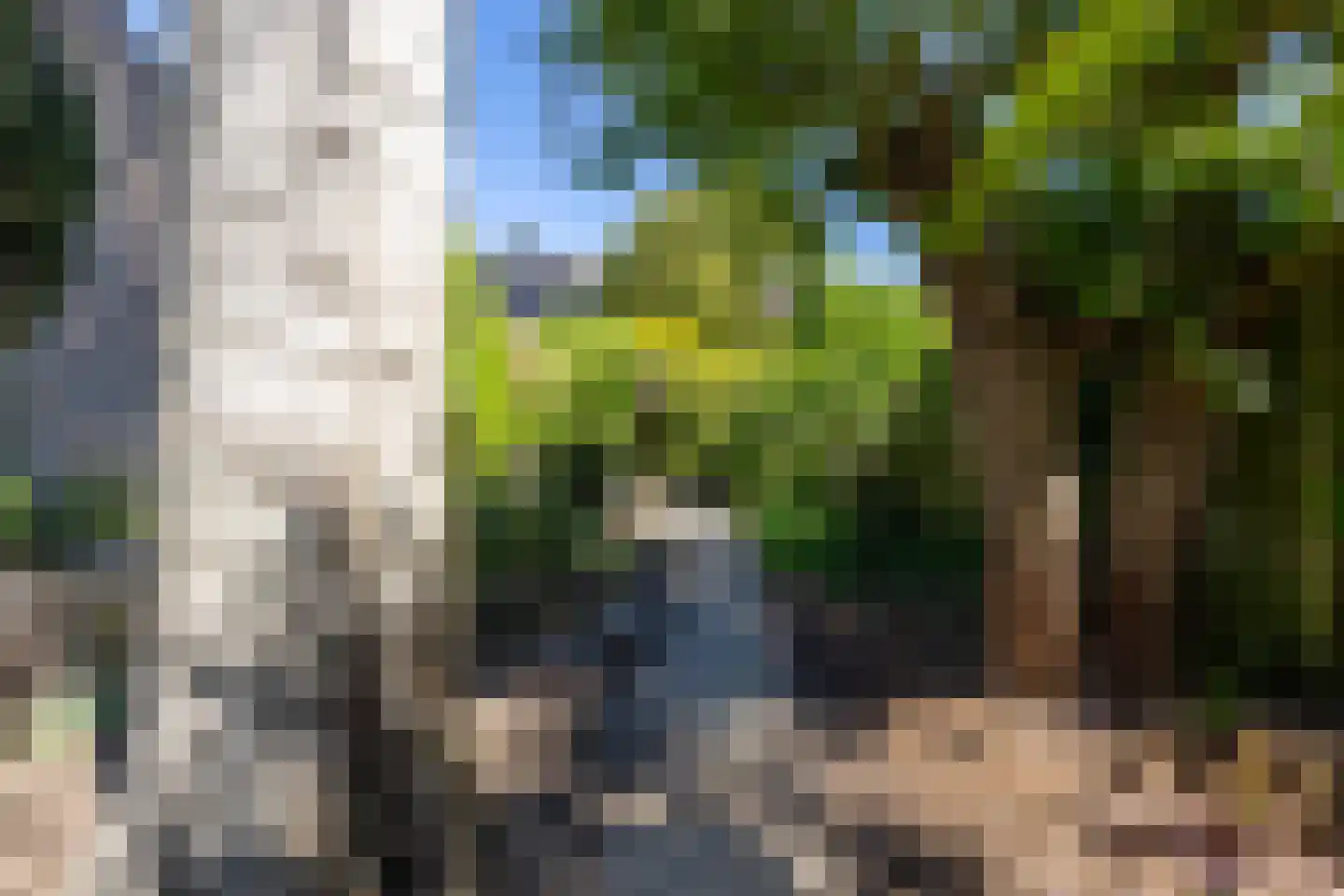 De Scheerman 7 Moergestel thumbnail 27