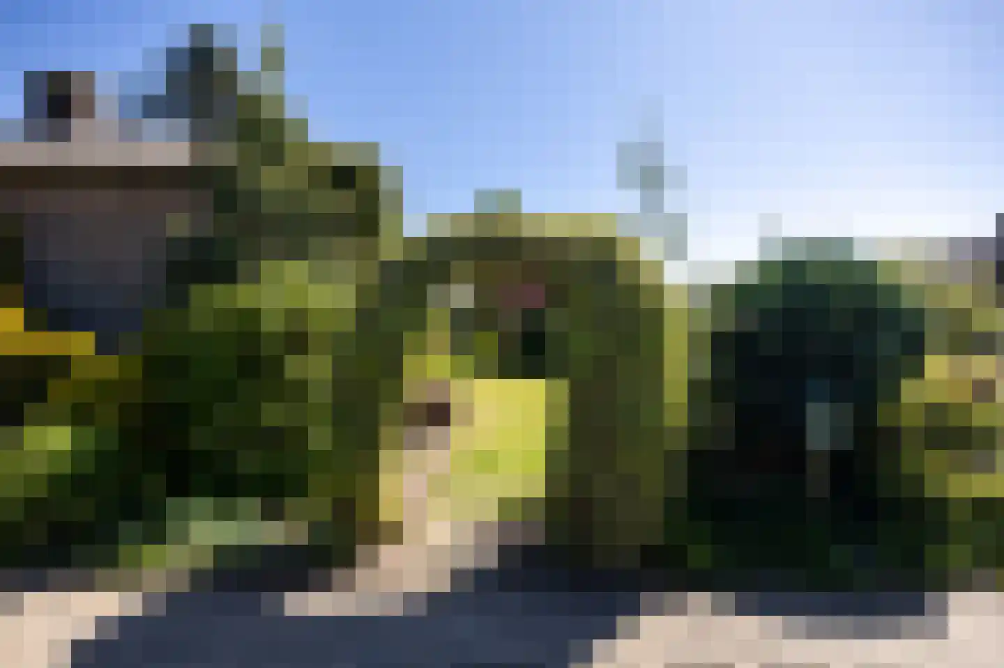 De Scheerman 7 Moergestel thumbnail 29