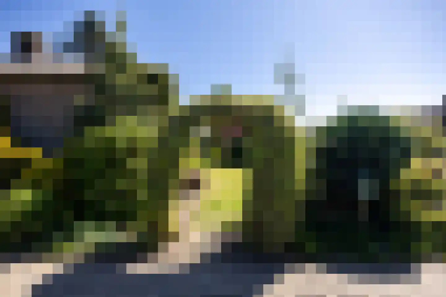 De Scheerman 7 Moergestel thumbnail 31