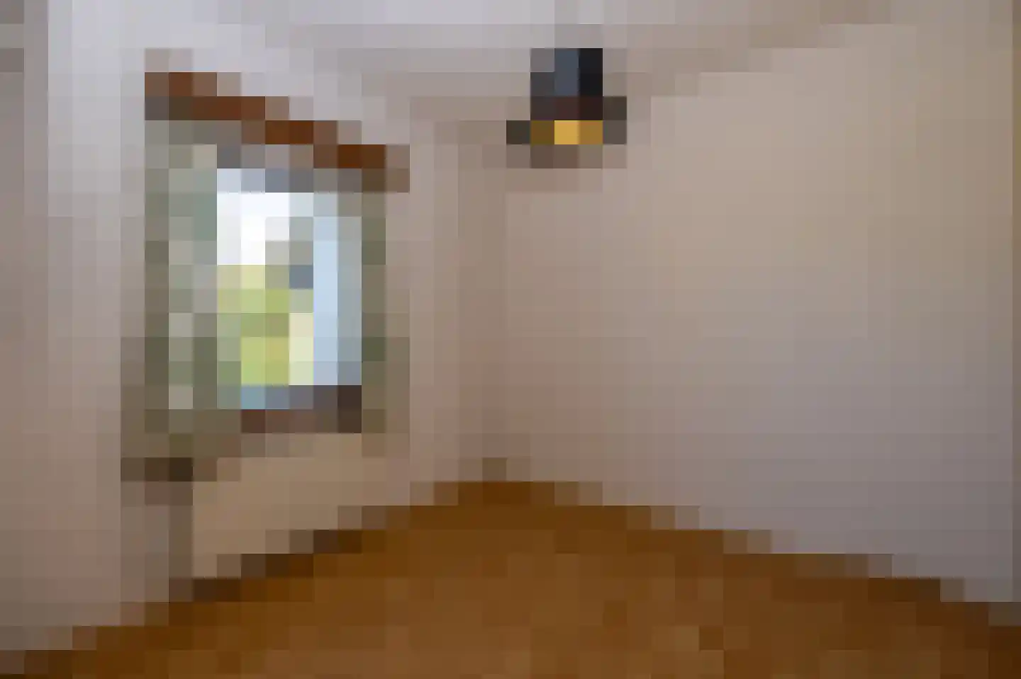 De Scheerman 7 Moergestel thumbnail 7