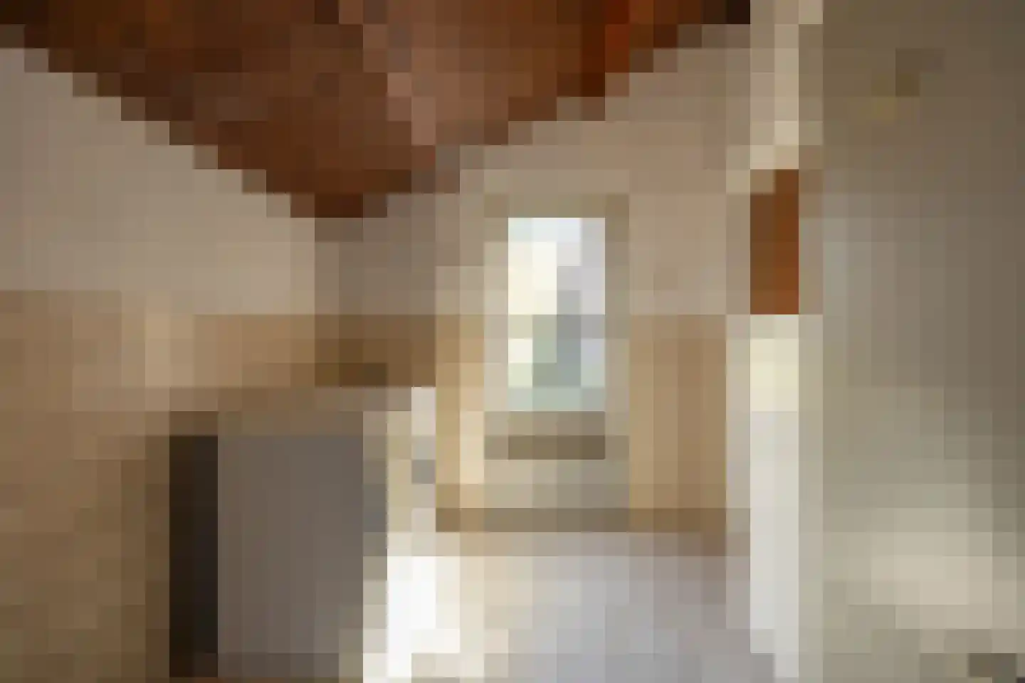 De Scheerman 7 Moergestel thumbnail 9