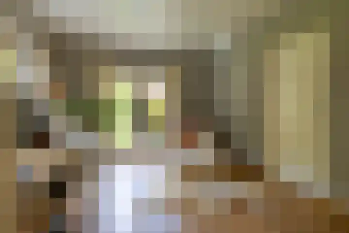 De Scheifelaar 14 Veghel thumbnail 10