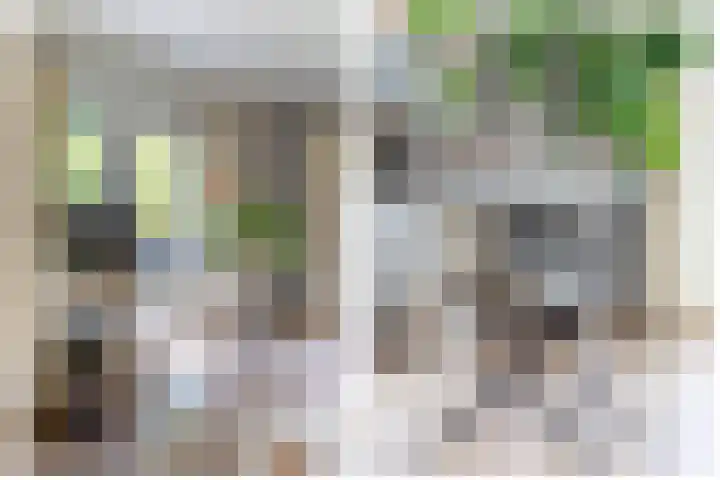 De Scheifelaar 14 Veghel thumbnail 11