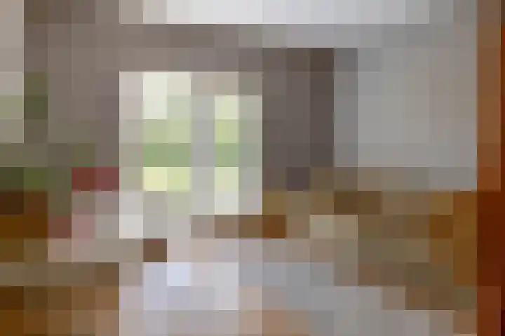 De Scheifelaar 14 Veghel thumbnail 12