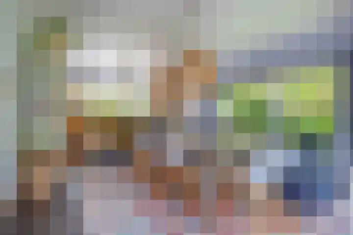 De Scheifelaar 14 Veghel thumbnail 13