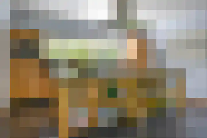 De Scheifelaar 14 Veghel thumbnail 14