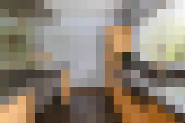 De Scheifelaar 14 Veghel thumbnail 16