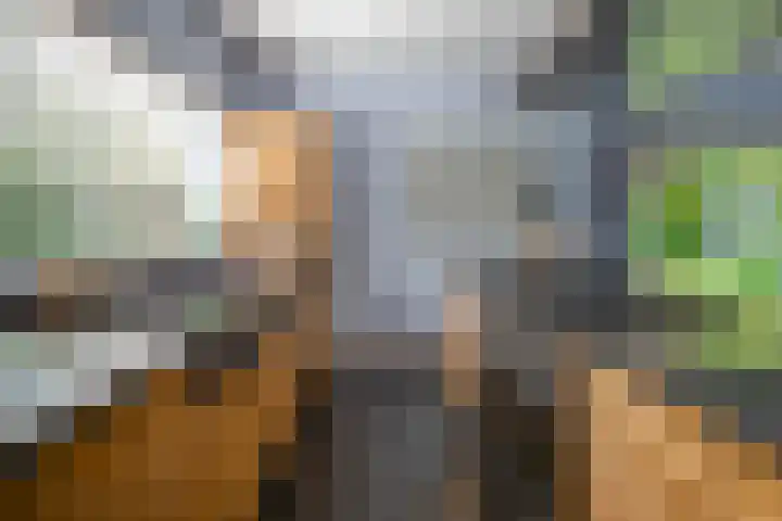 De Scheifelaar 14 Veghel thumbnail 17