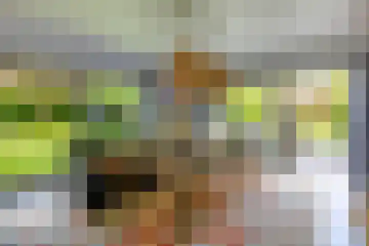 De Scheifelaar 14 Veghel thumbnail 18