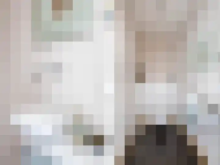 De Scheifelaar 14 Veghel thumbnail 19