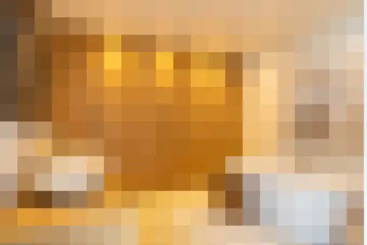 De Scheifelaar 14 Veghel thumbnail 22