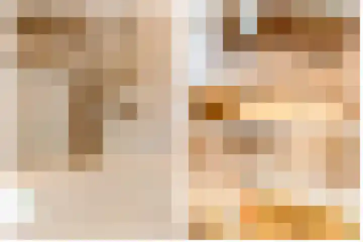De Scheifelaar 14 Veghel thumbnail 23