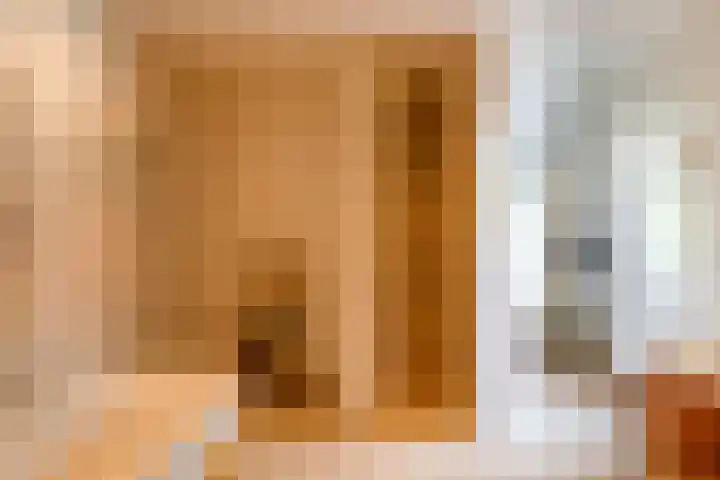 De Scheifelaar 14 Veghel thumbnail 24
