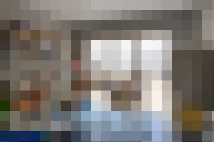 De Scheifelaar 14 Veghel thumbnail 25