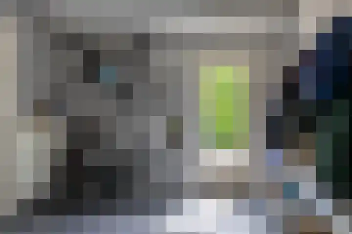 De Scheifelaar 14 Veghel thumbnail 26