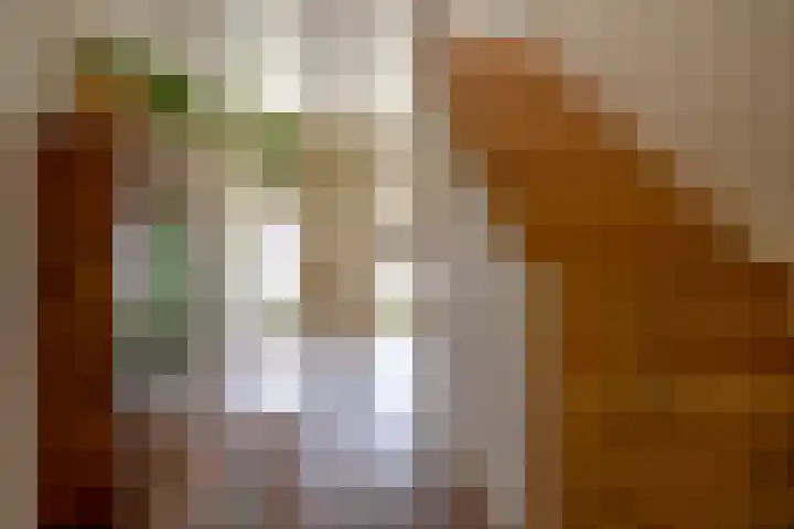 De Scheifelaar 14 Veghel thumbnail 27