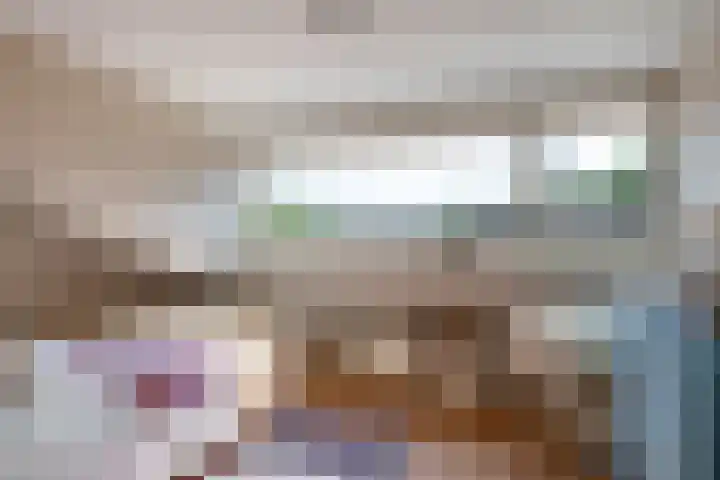 De Scheifelaar 14 Veghel thumbnail 29