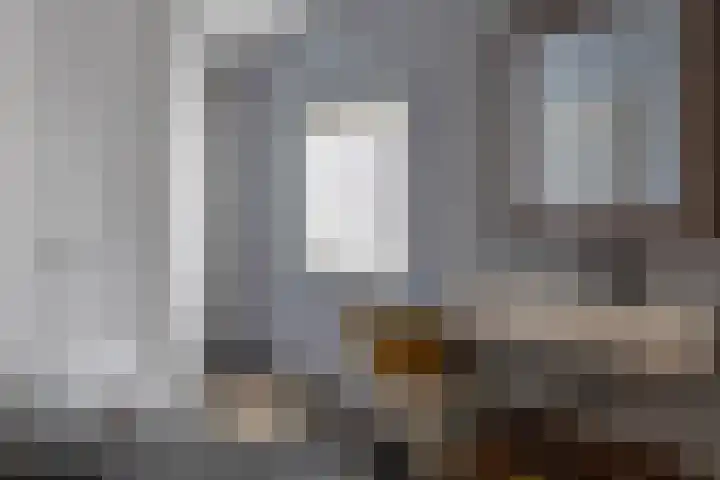De Scheifelaar 14 Veghel thumbnail 30