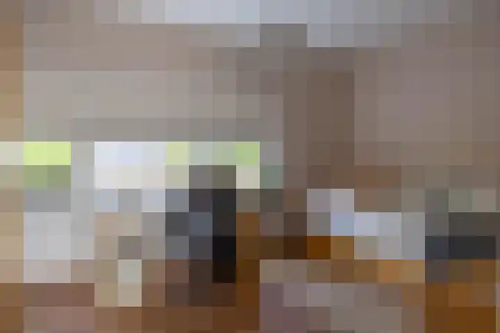 De Scheifelaar 14 Veghel thumbnail 32