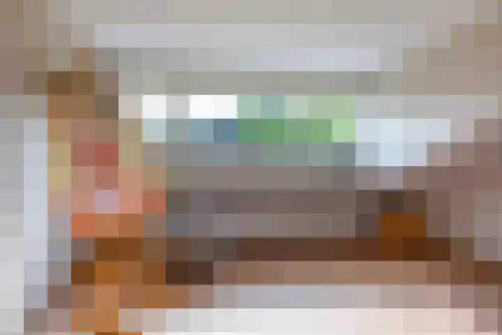 De Scheifelaar 14 Veghel thumbnail 33