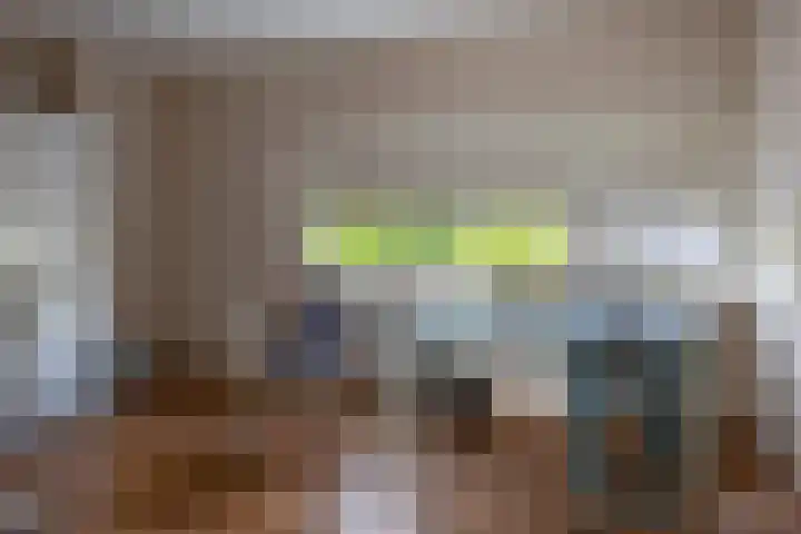 De Scheifelaar 14 Veghel thumbnail 34