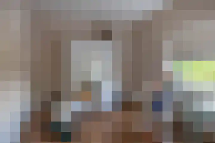 De Scheifelaar 14 Veghel thumbnail 35