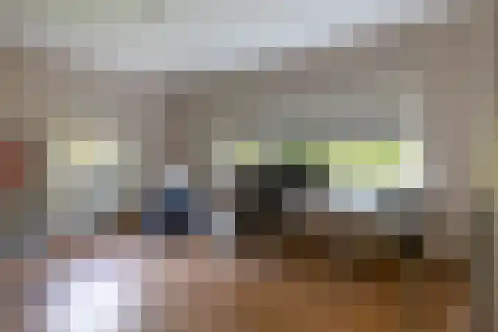 De Scheifelaar 14 Veghel thumbnail 36