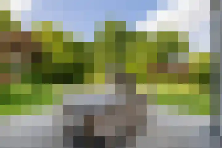 De Scheifelaar 14 Veghel thumbnail 38
