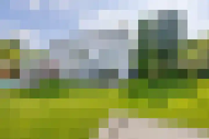De Scheifelaar 14 Veghel thumbnail 39