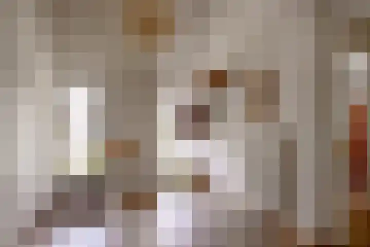 De Scheifelaar 14 Veghel thumbnail 4