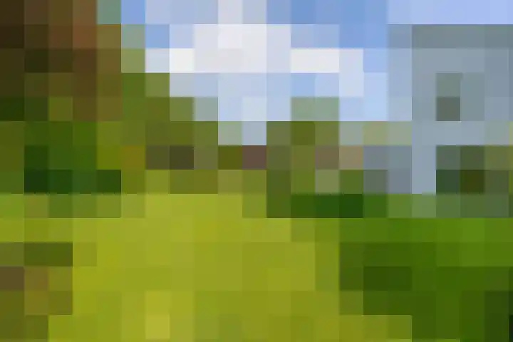 De Scheifelaar 14 Veghel thumbnail 40