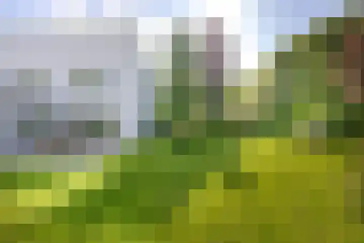 De Scheifelaar 14 Veghel thumbnail 42