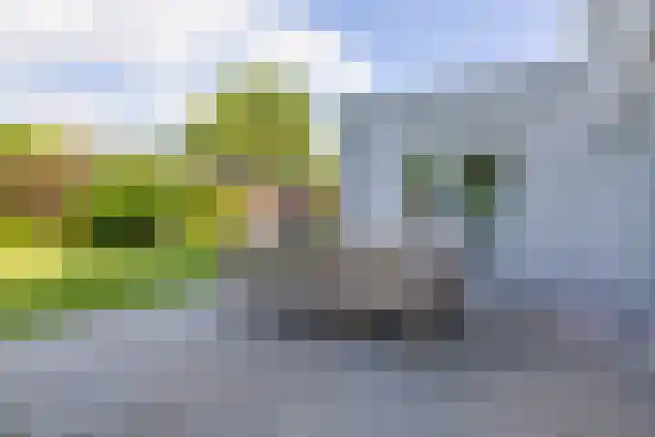 De Scheifelaar 14 Veghel thumbnail 43