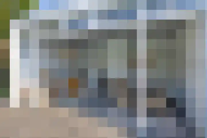 De Scheifelaar 14 Veghel thumbnail 49
