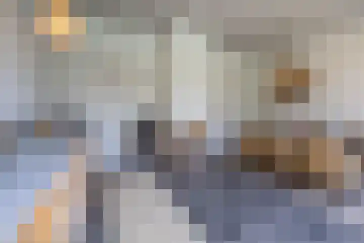 De Scheifelaar 14 Veghel thumbnail 51