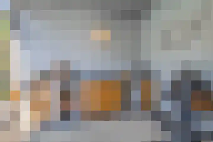 De Scheifelaar 14 Veghel thumbnail 52