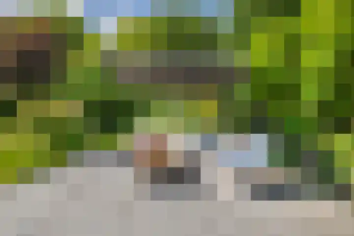 De Scheifelaar 14 Veghel thumbnail 54